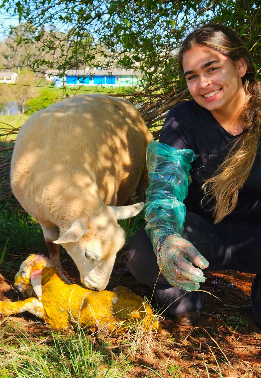 Giovanna Ramos Camponogara