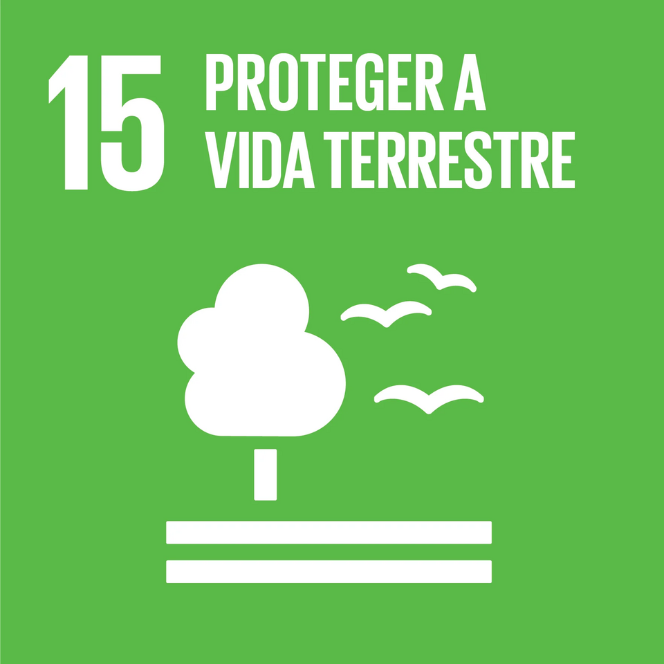 Vida Terrestre
